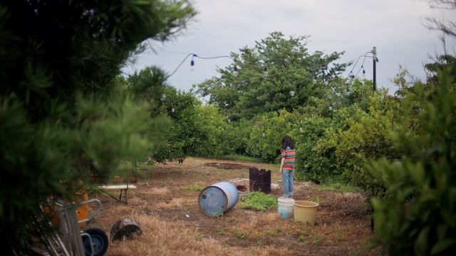 映画『架空書影。』の画像（12枚目）