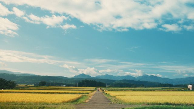 映画『書けないんじゃない、書かないんだ』の画像（6枚目）