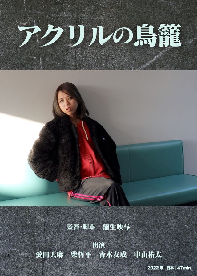 アクリルの鳥籠