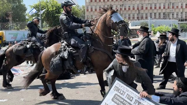 映画『壁の外側と内側』の画像（12枚目）