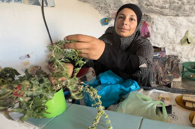 映画『壁の外側と内側』の画像（15枚目）