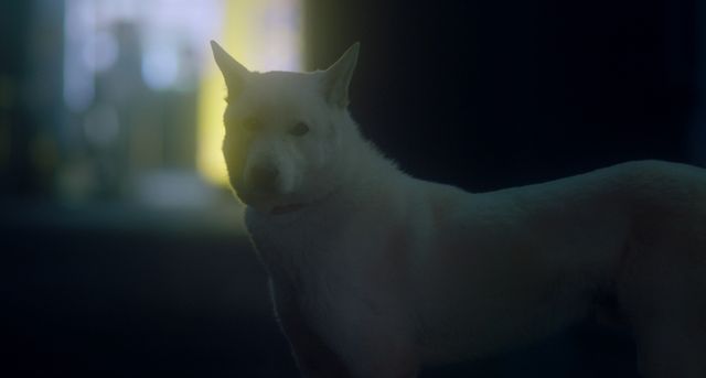 映画『君と私』の画像（13枚目）