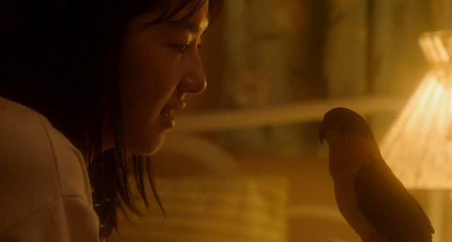 映画『君と私』の画像（14枚目）