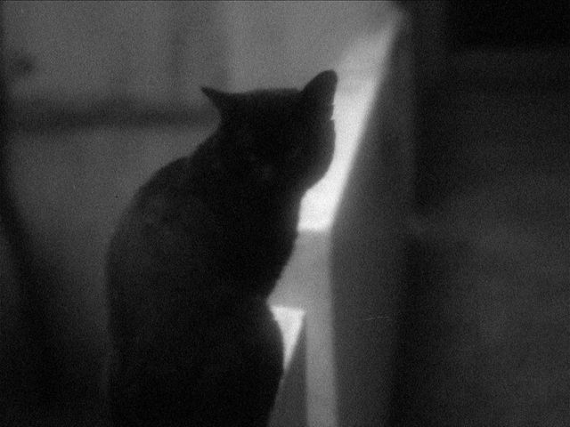 映画『何も知らない夜』の画像（10枚目）