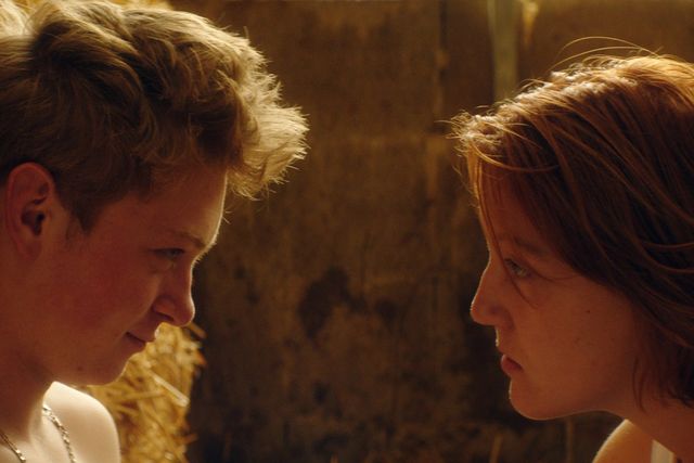 映画『ホーリー・カウ』の画像（13枚目）