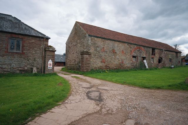 映画『リアム・ギャラガー in ロックフィールド　オアシス復活の序章』の画像（10枚目）