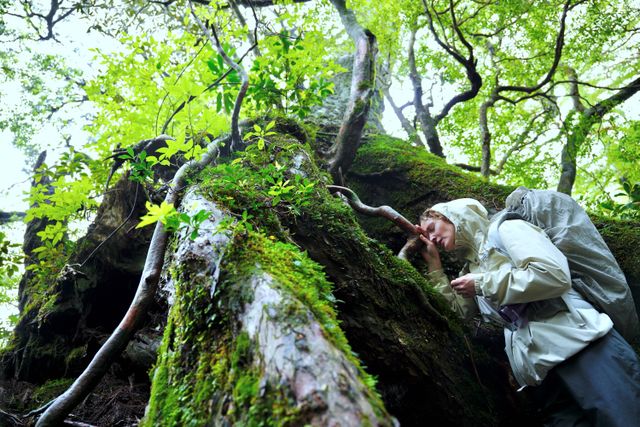 映画『たしかにあった幻』の画像（7枚目）