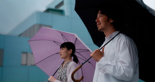 映画『夫の部屋』の画像（6枚目）