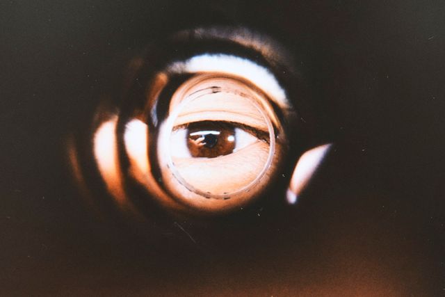 映画『白昼夢』の画像（14枚目）