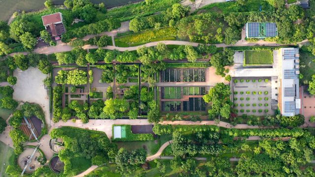 映画『大地に詩を書くように』の画像（7枚目）