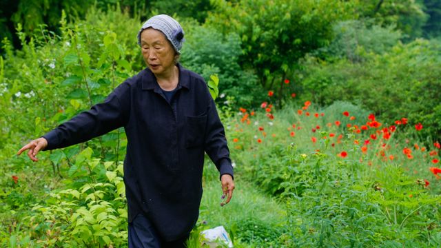 映画『大地に詩を書くように』の画像（4枚目）