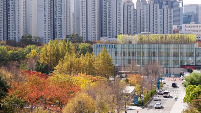 映画『大地に詩を書くように』の画像（8枚目）