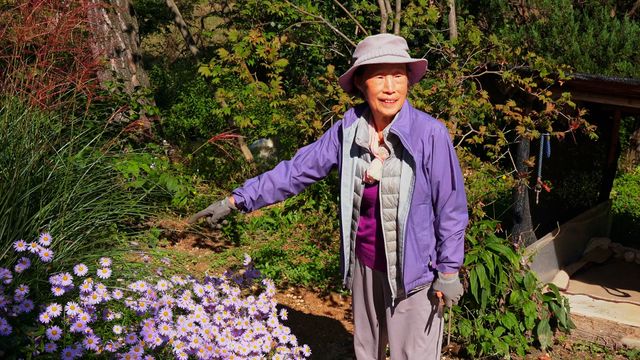 映画『大地に詩を書くように』の画像（10枚目）