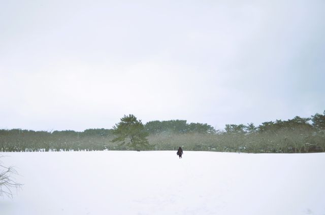映画『じっちゃ！』の画像（17枚目）