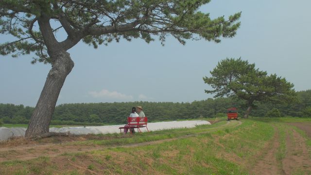 映画『じっちゃ！』の画像（15枚目）