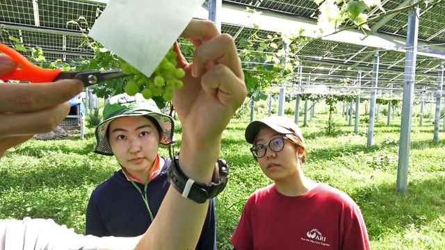 映画『陽なたのファーマーズ　フクシマと希望』の画像（7枚目）