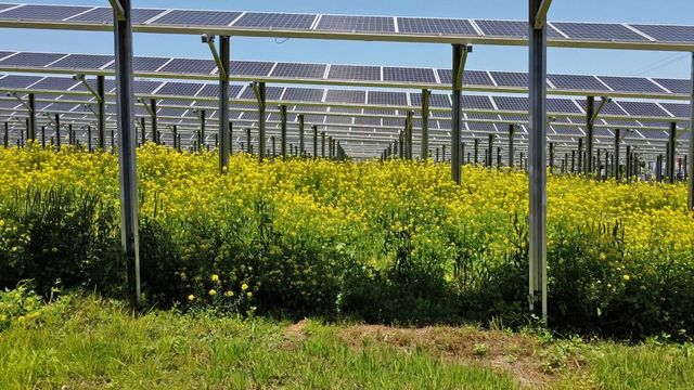 映画『陽なたのファーマーズ　フクシマと希望』の画像（8枚目）