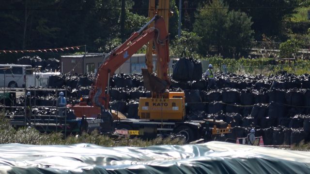 映画『陽なたのファーマーズ　フクシマと希望』の画像（12枚目）