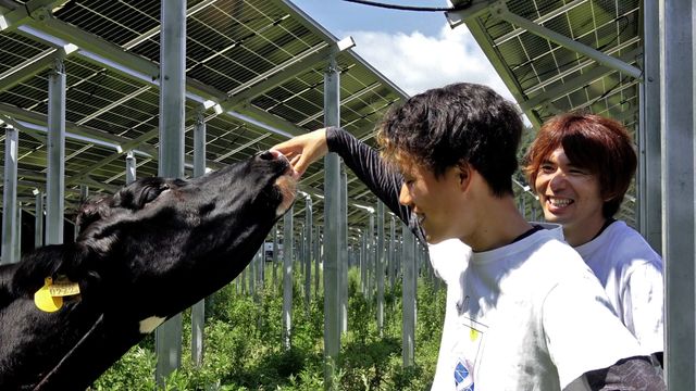 映画『陽なたのファーマーズ　フクシマと希望』の画像（5枚目）