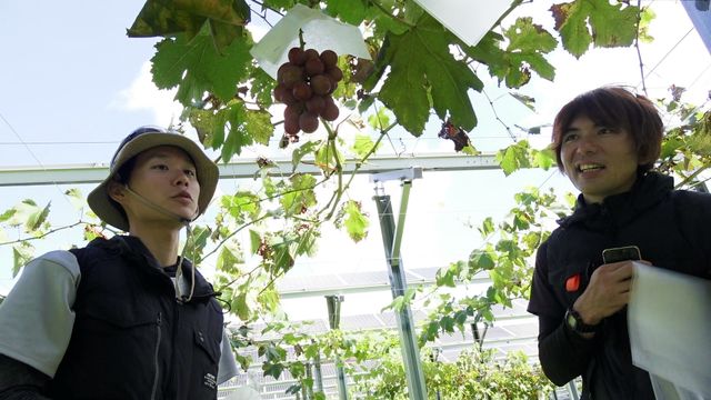 映画『陽なたのファーマーズ　フクシマと希望』の画像（6枚目）