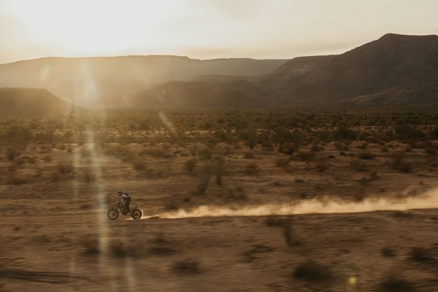 映画『デザート・セッド・ダンス』の画像（2枚目）