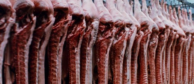 映画『ロードゲーム』の画像（10枚目）