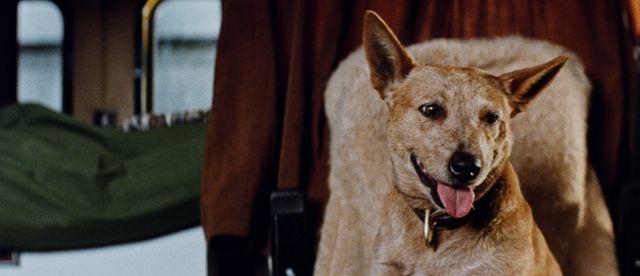 映画『ロードゲーム』の画像（12枚目）