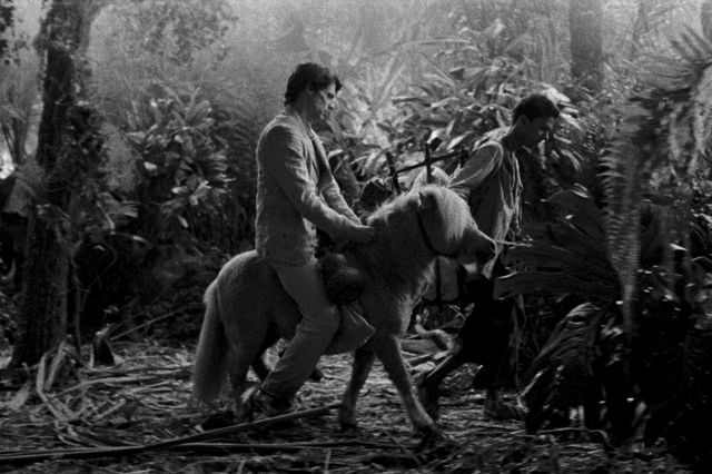 映画『グランドツアー』の画像（12枚目）