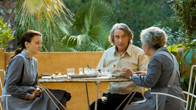 映画『ペンギン・レッスン』の画像（7枚目）