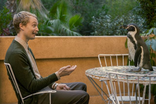 映画『ペンギン・レッスン』の画像（8枚目）