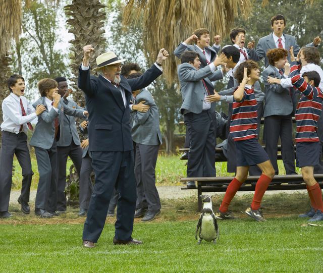 映画『ペンギン・レッスン』の画像（14枚目）