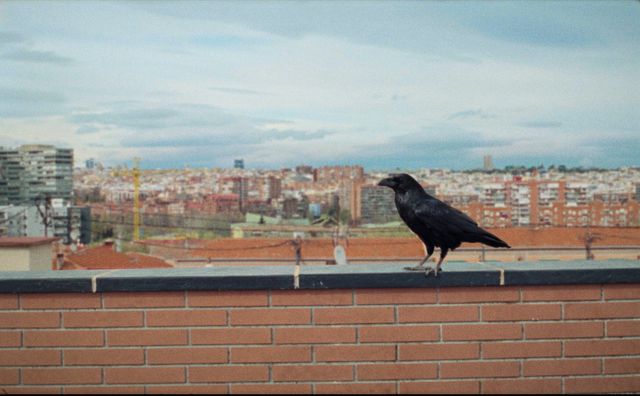 映画『サムシング・ハプンズ・トゥ・ミー』の画像（15枚目）