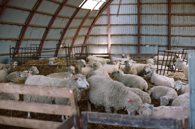 映画『北の食景』の画像（18枚目）