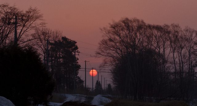 映画『北の食景』の画像（9枚目）