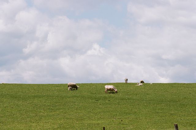 映画『北の食景』の画像（17枚目）