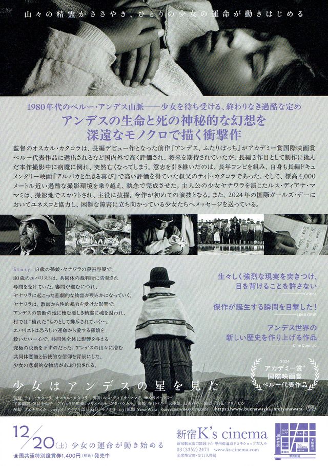 映画『少女はアンデスの星を見た』の画像（3枚目）