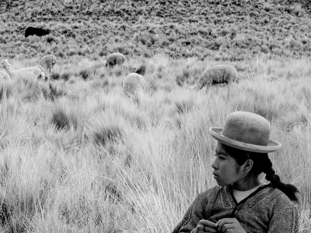 映画『少女はアンデスの星を見た』の画像（4枚目）