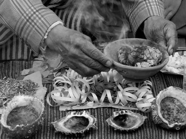 映画『少女はアンデスの星を見た』の画像（12枚目）