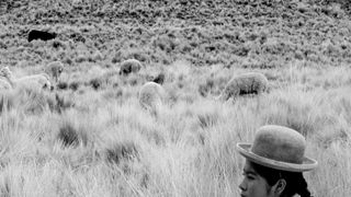 少女はアンデスの星を見た