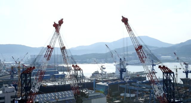 映画『ただ、やるべきことを』の画像（16枚目）