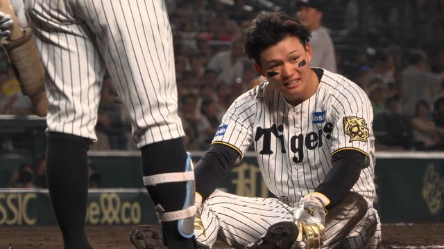 映画『阪神タイガース THE OFFICIAL MOVIE 2025 －栄光の虎道（こどう）－』の画像（4枚目）
