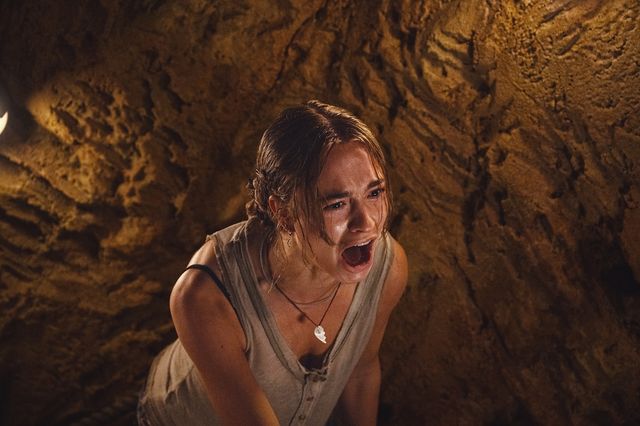 映画『おさるのベン』の画像（4枚目）