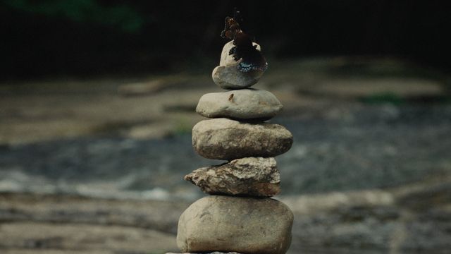 映画『グッドワン』の画像（18枚目）