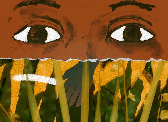 映画『オリビアと雲』の画像（4枚目）