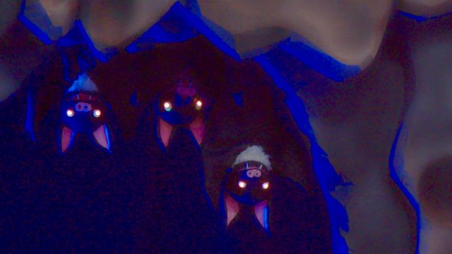 映画『ヤマトタケル－白鳥伝説－』の画像（11枚目）