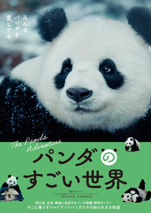 映画『パンダのすごい世界』の画像（2枚目）