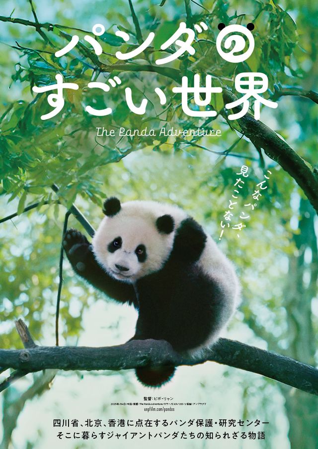 映画『パンダのすごい世界』の画像（4枚目）