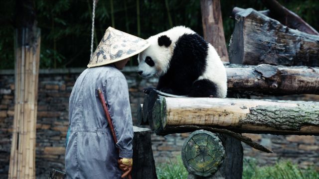 映画『パンダのすごい世界』の画像（10枚目）