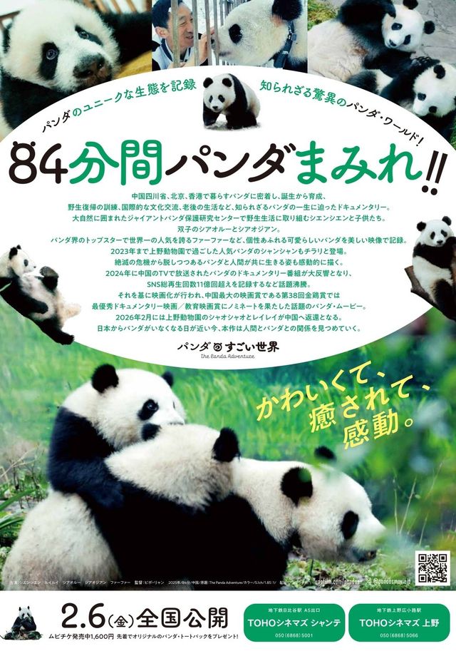 映画『パンダのすごい世界』の画像（5枚目）