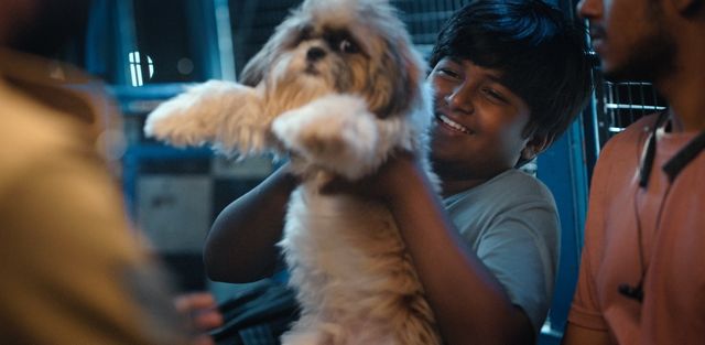 映画『ツーリストファミリー』の画像（10枚目）